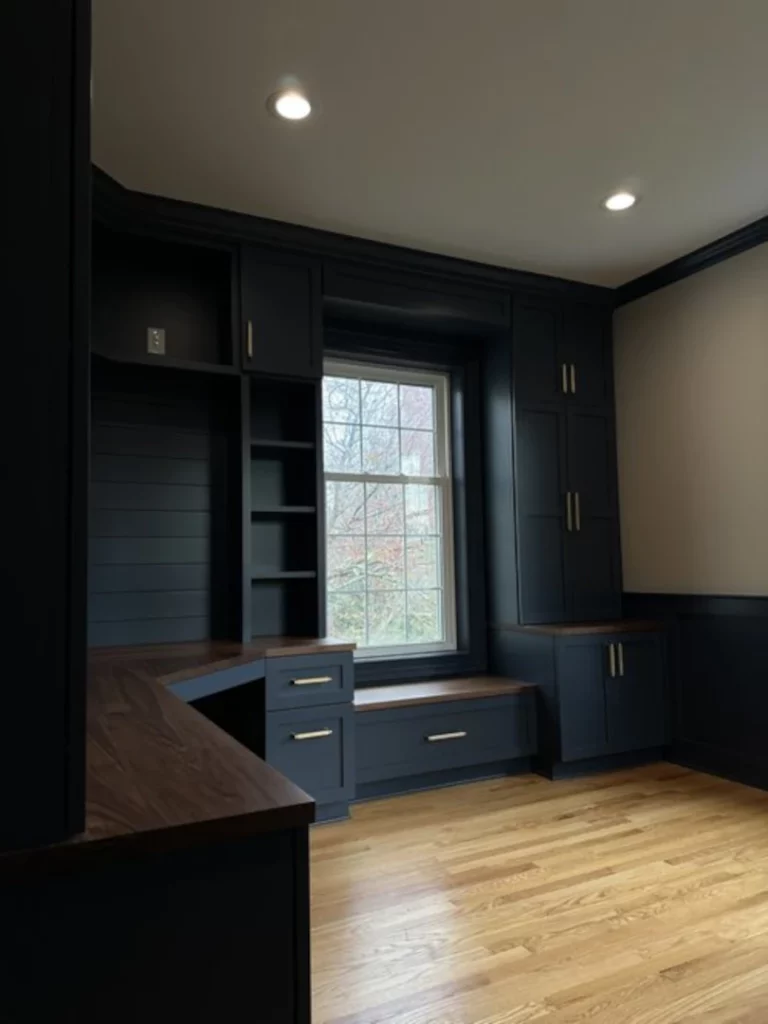 Blue Cabinets 2